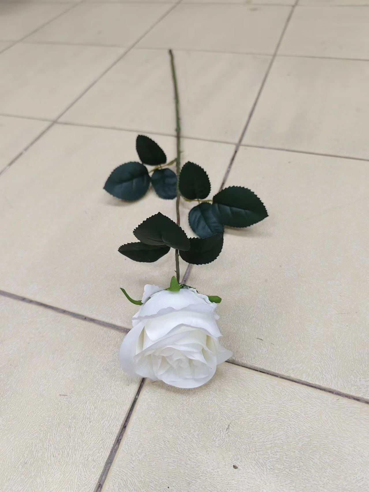 单支苞芯玫瑰花 - 图片 13