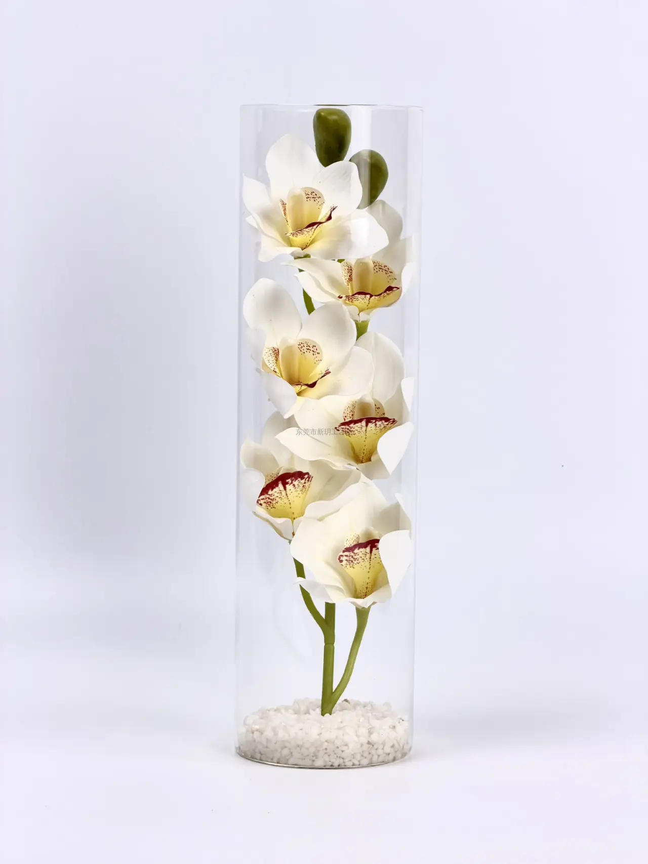 蕙兰花玻璃杯