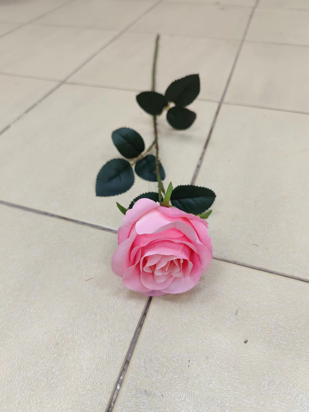 单支苞芯玫瑰花 - 图片 4