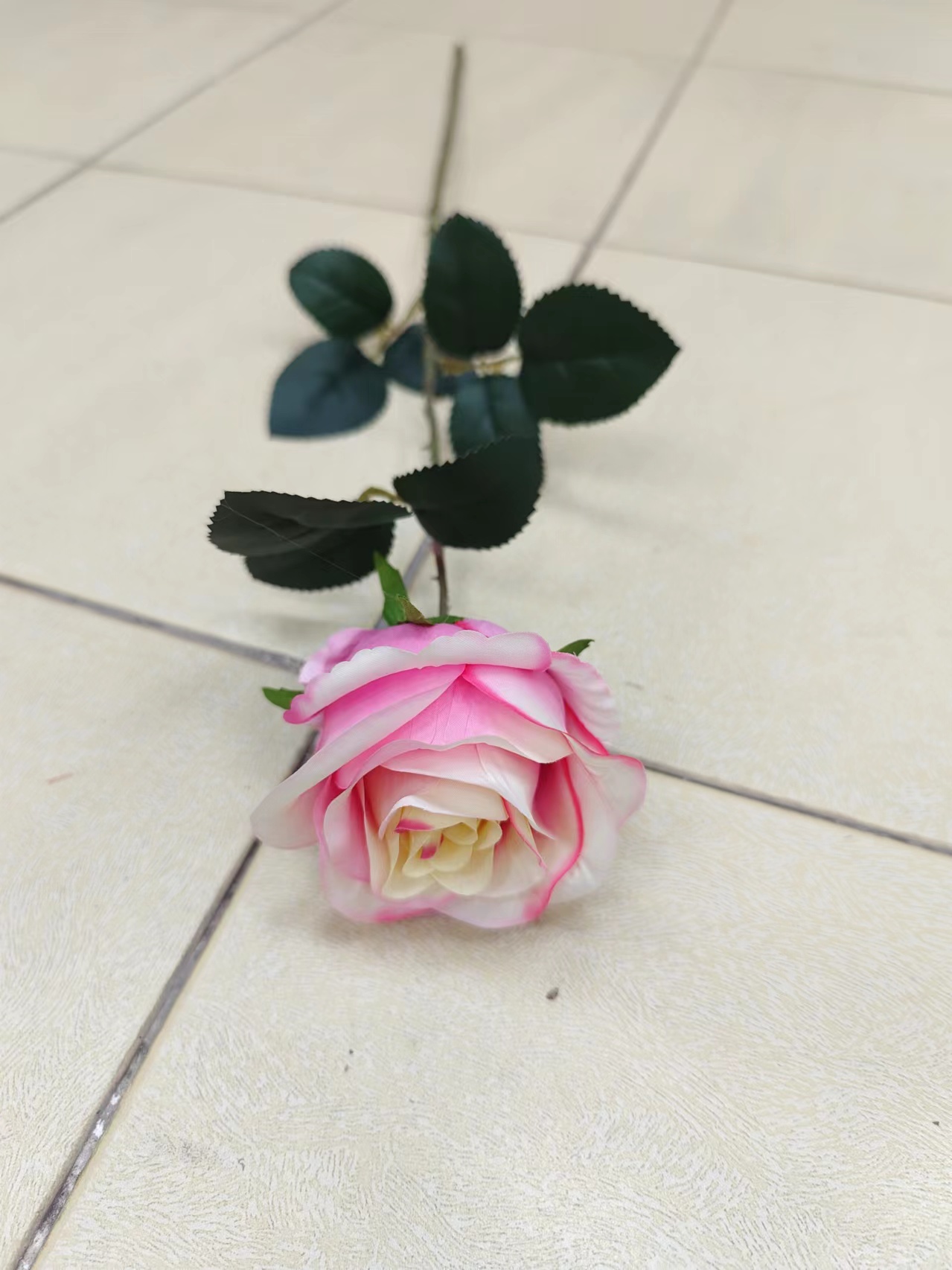 单支苞芯玫瑰花 - 图片 6