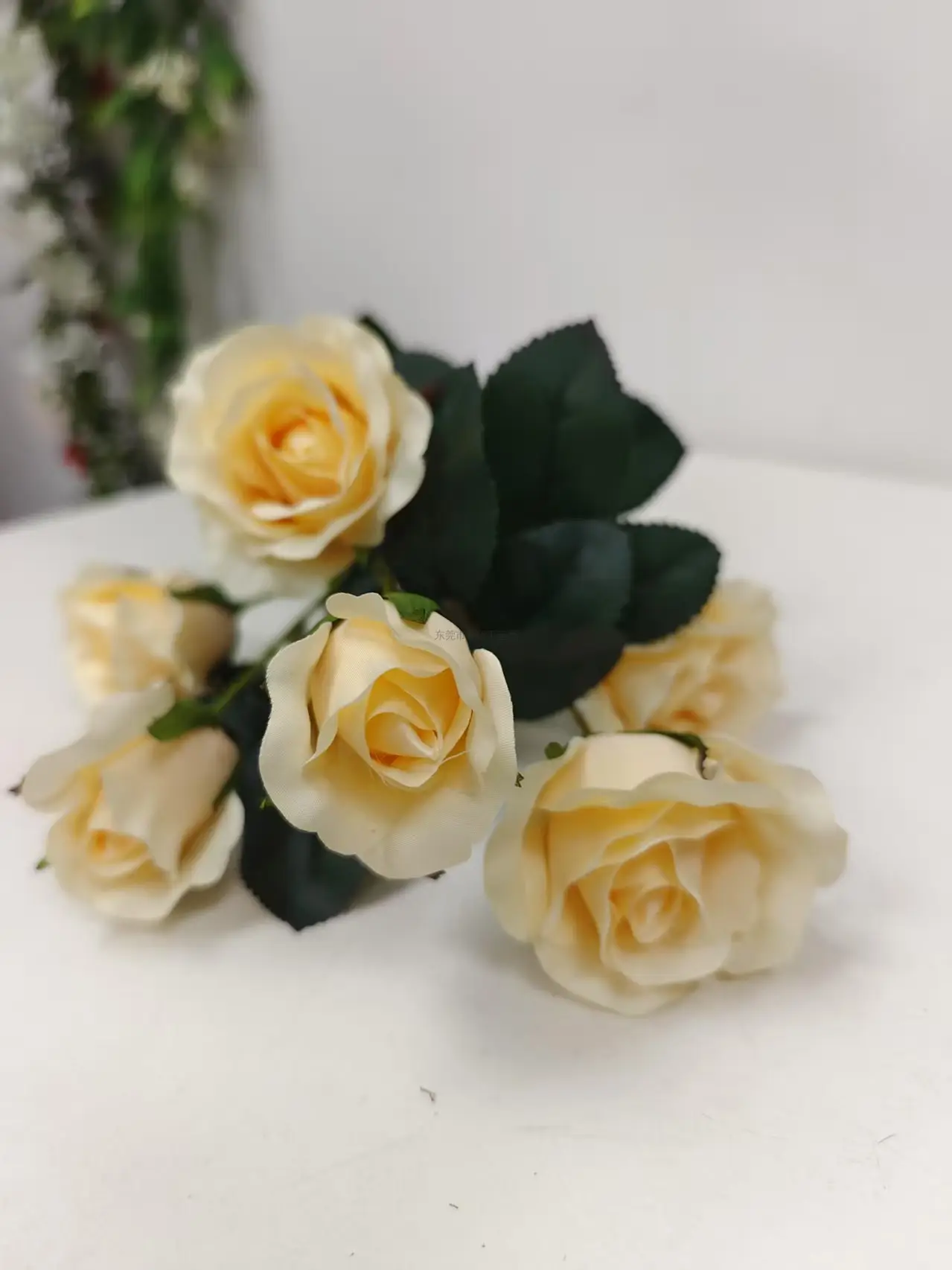 单支6头725玫瑰花