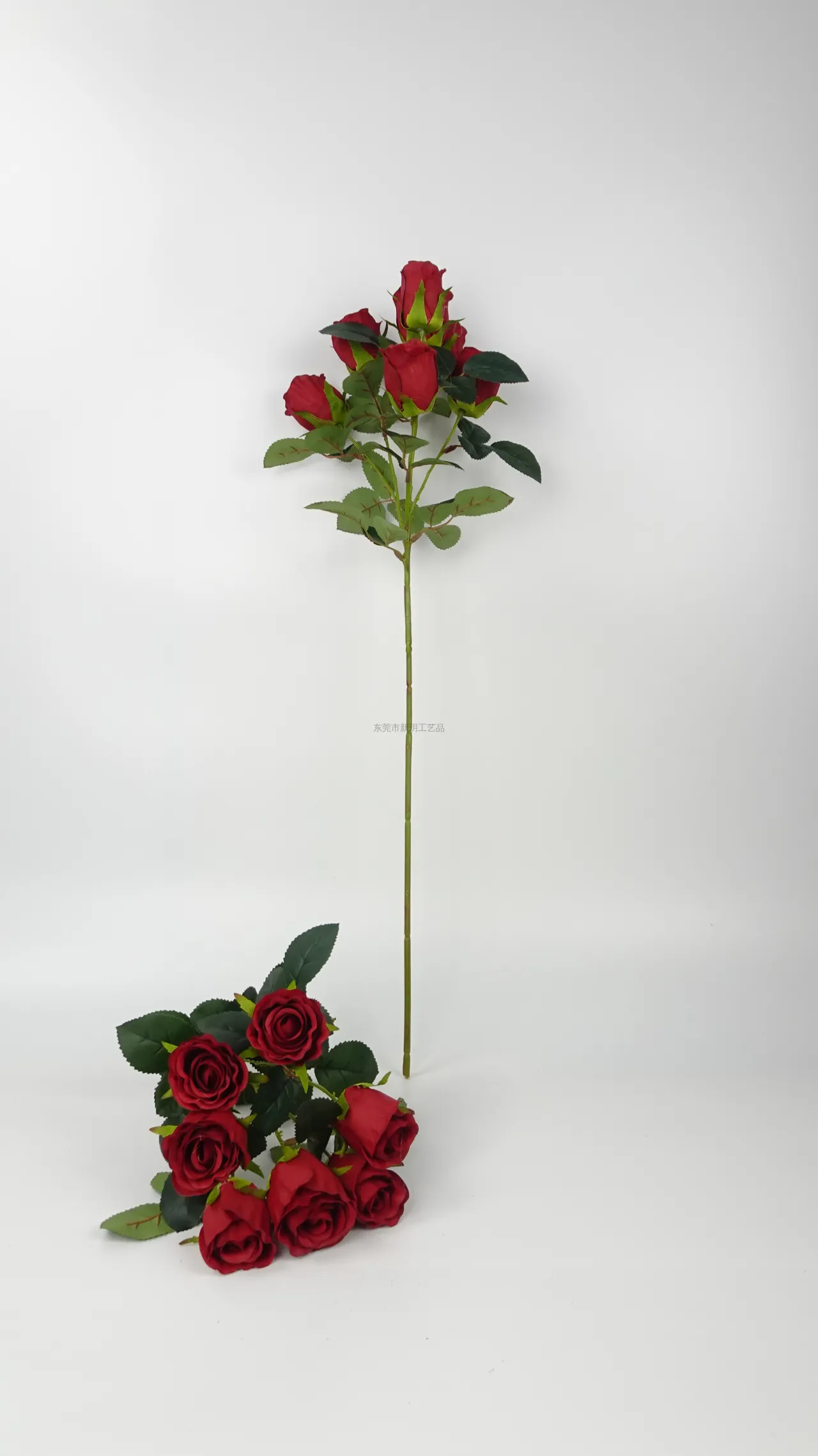 729玫瑰, ساق واحد, Product code JH137, Unnamed Product, image 4