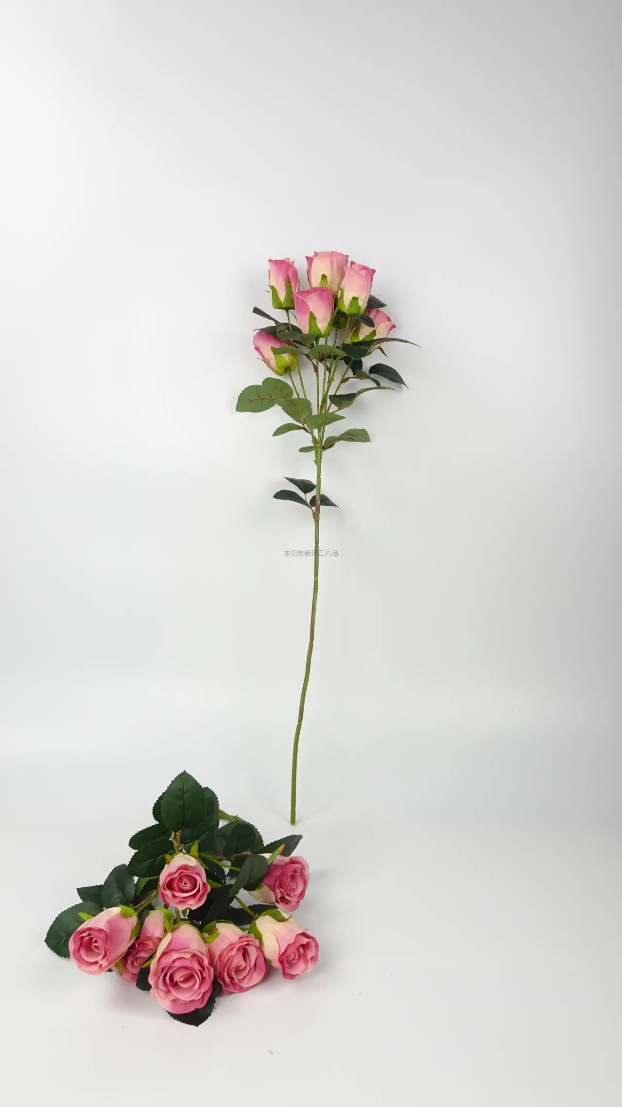 729玫瑰, ساق واحد, Product code JH137, Unnamed Product, image 2