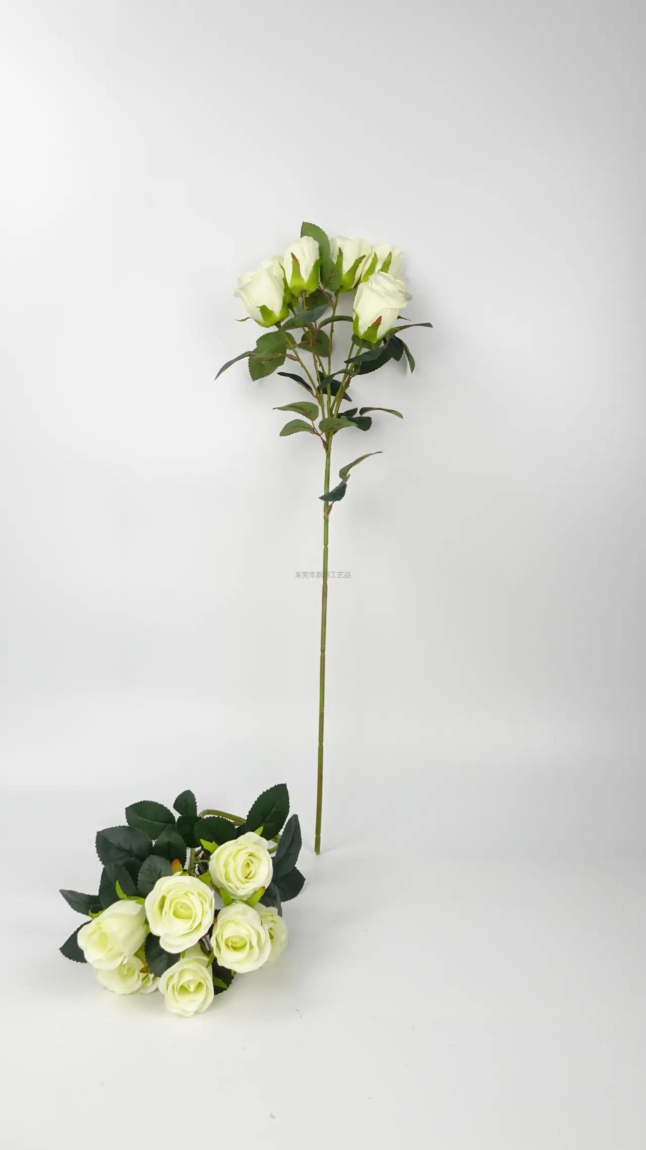 729玫瑰, ساق واحد, Product code JH137, Unnamed Product, image 6