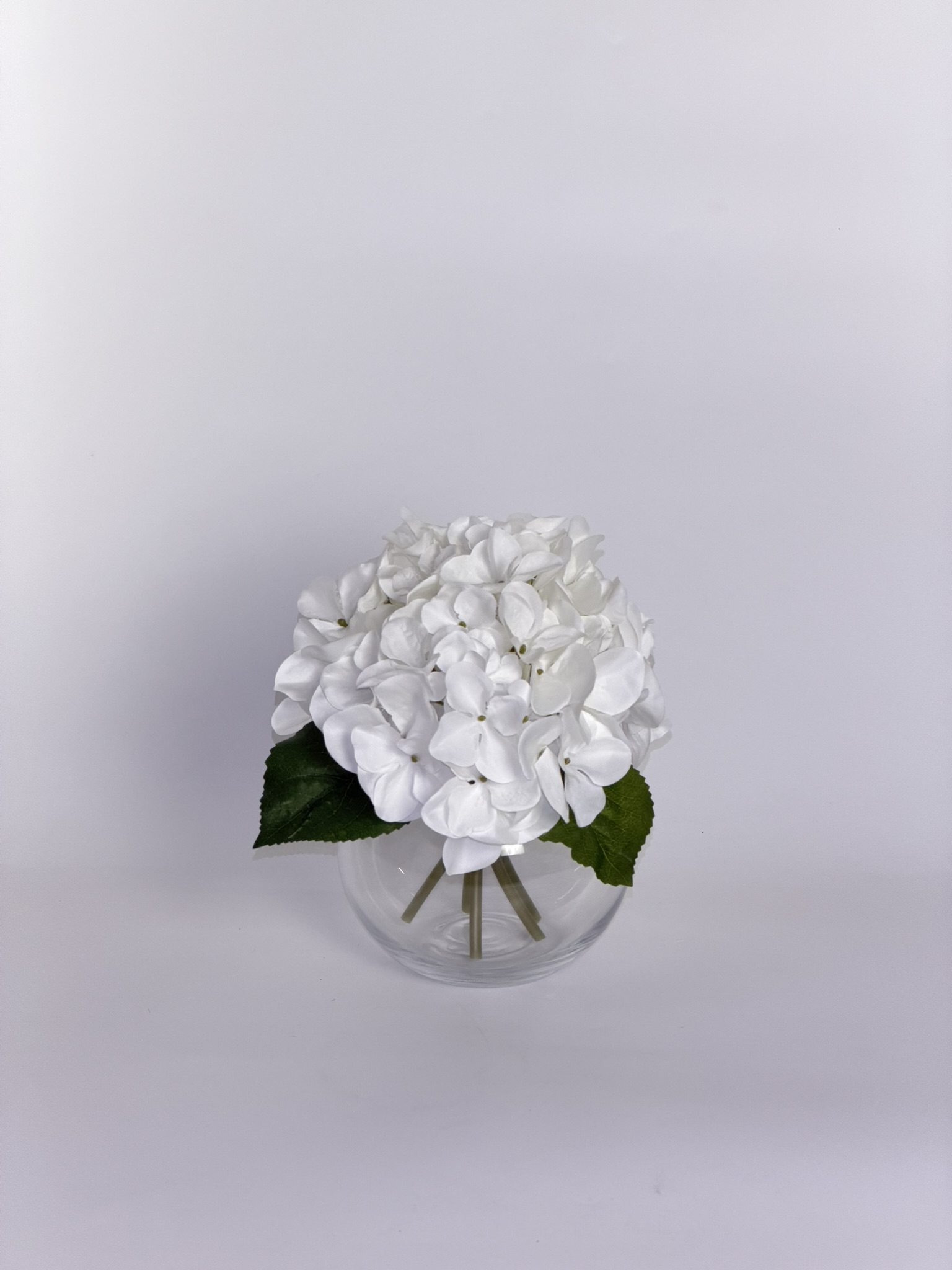 经典绣球花玻璃杯26023 - 3