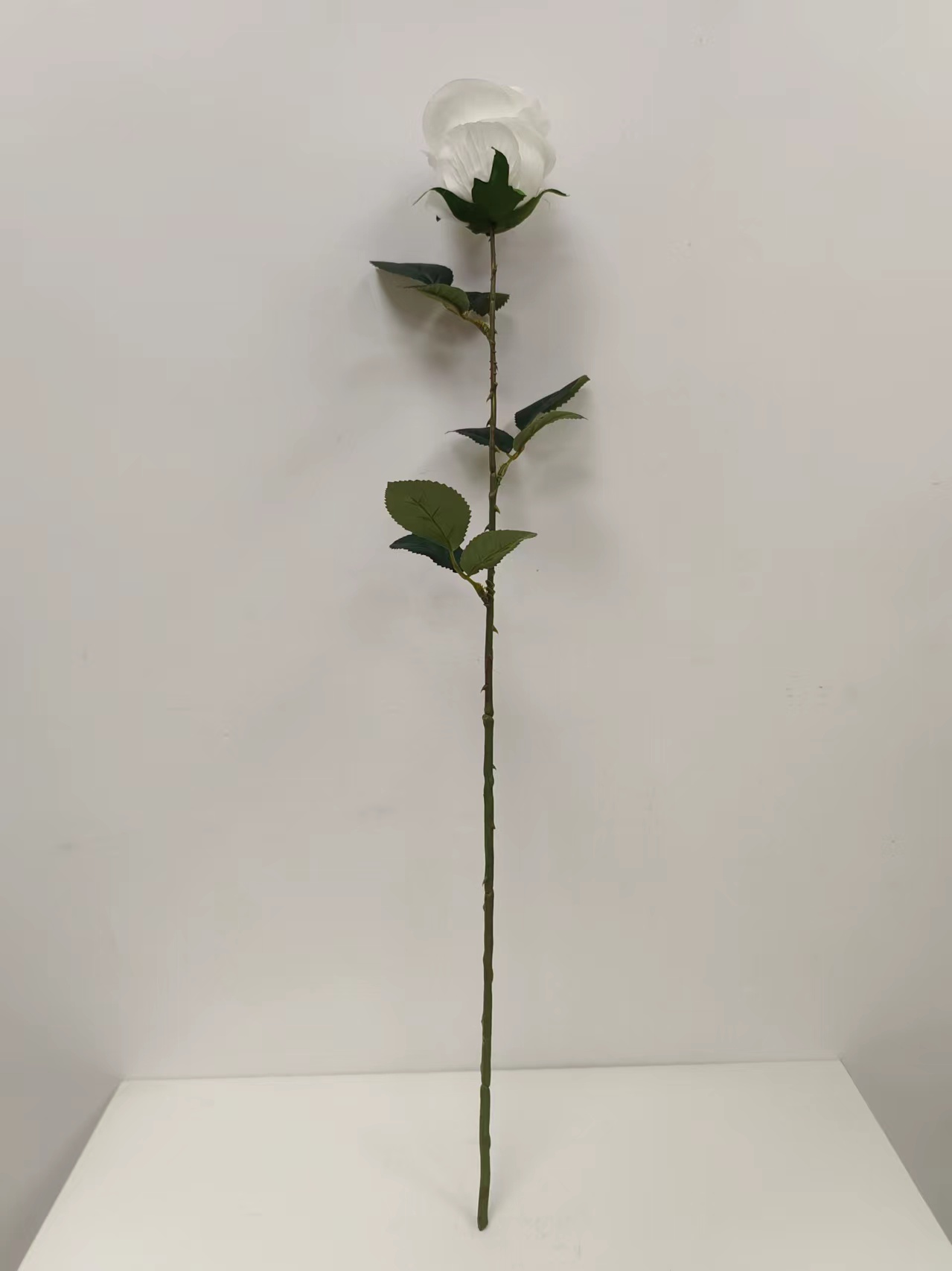 单支苞芯玫瑰花 - 图片 10