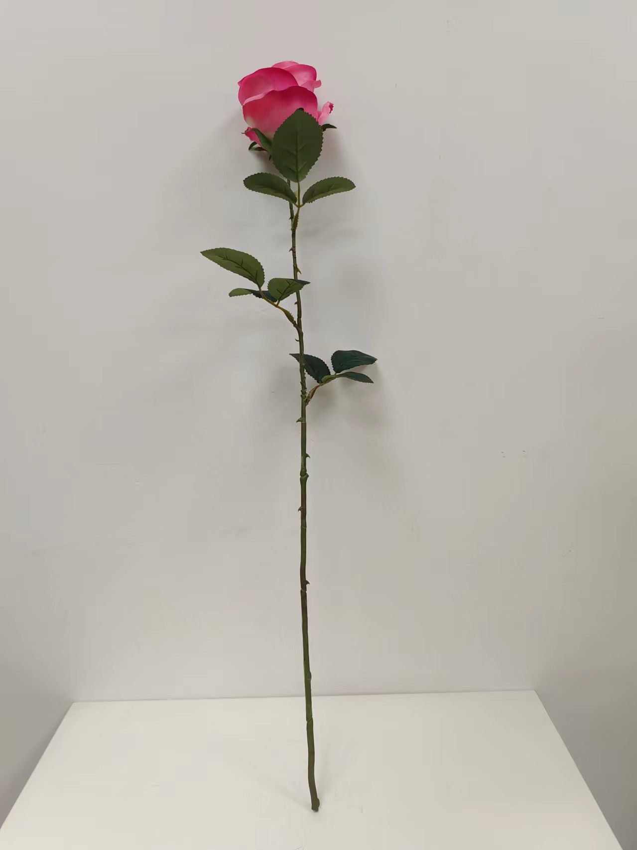 单支苞芯玫瑰花 - 图片 12