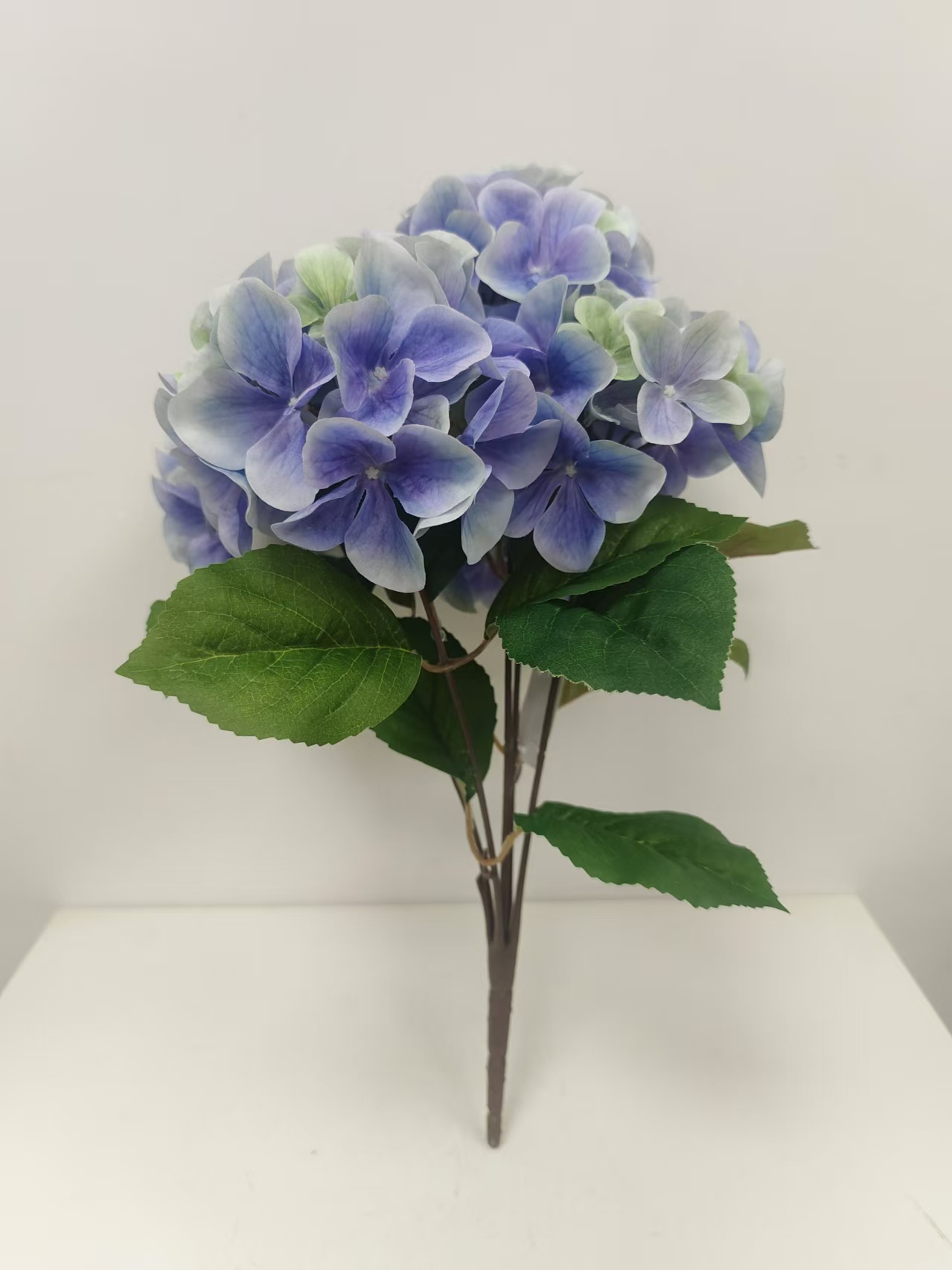 5头经典绣球花1 - 图片 3