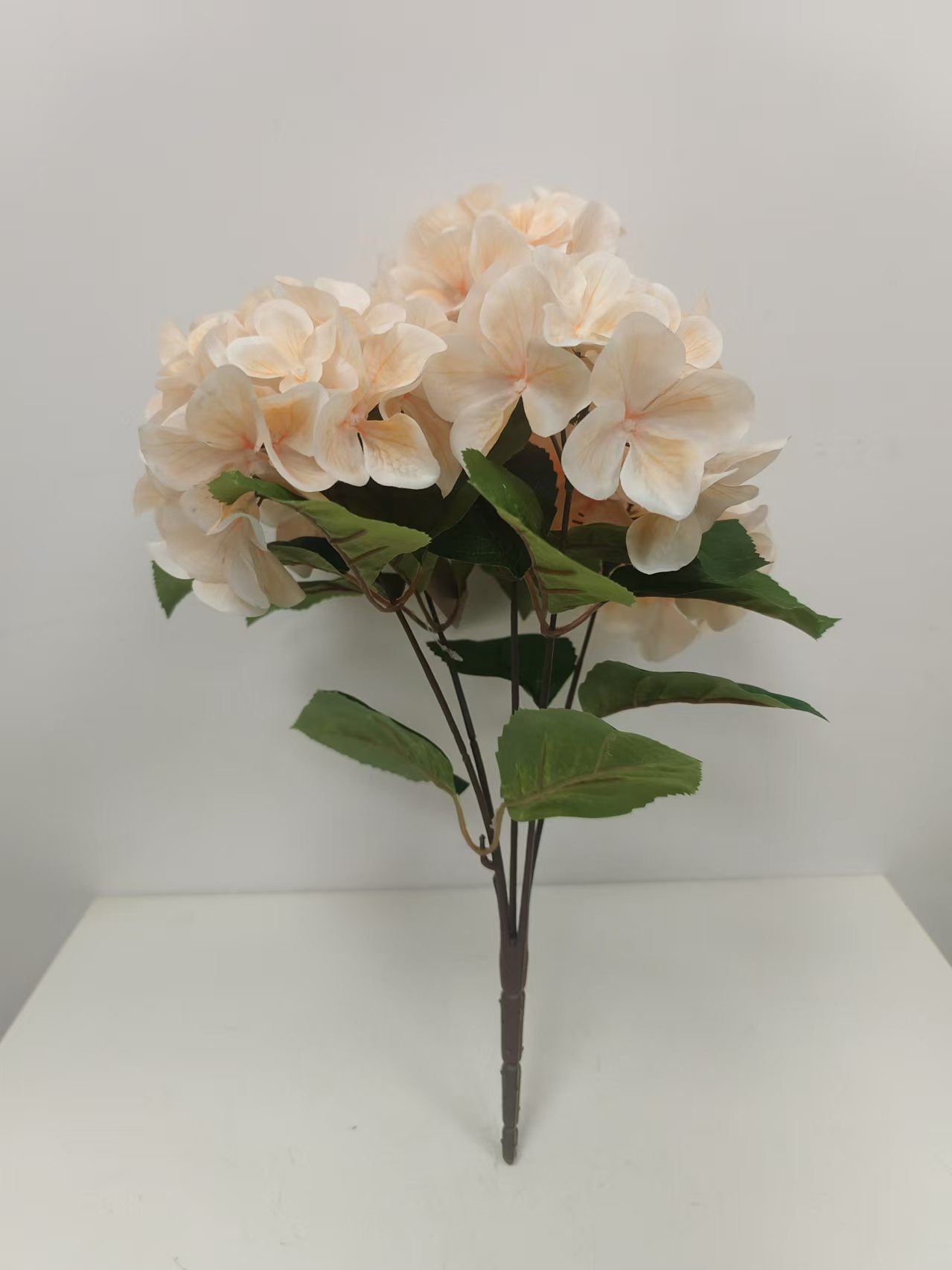 5头经典绣球花1 - 图片 11