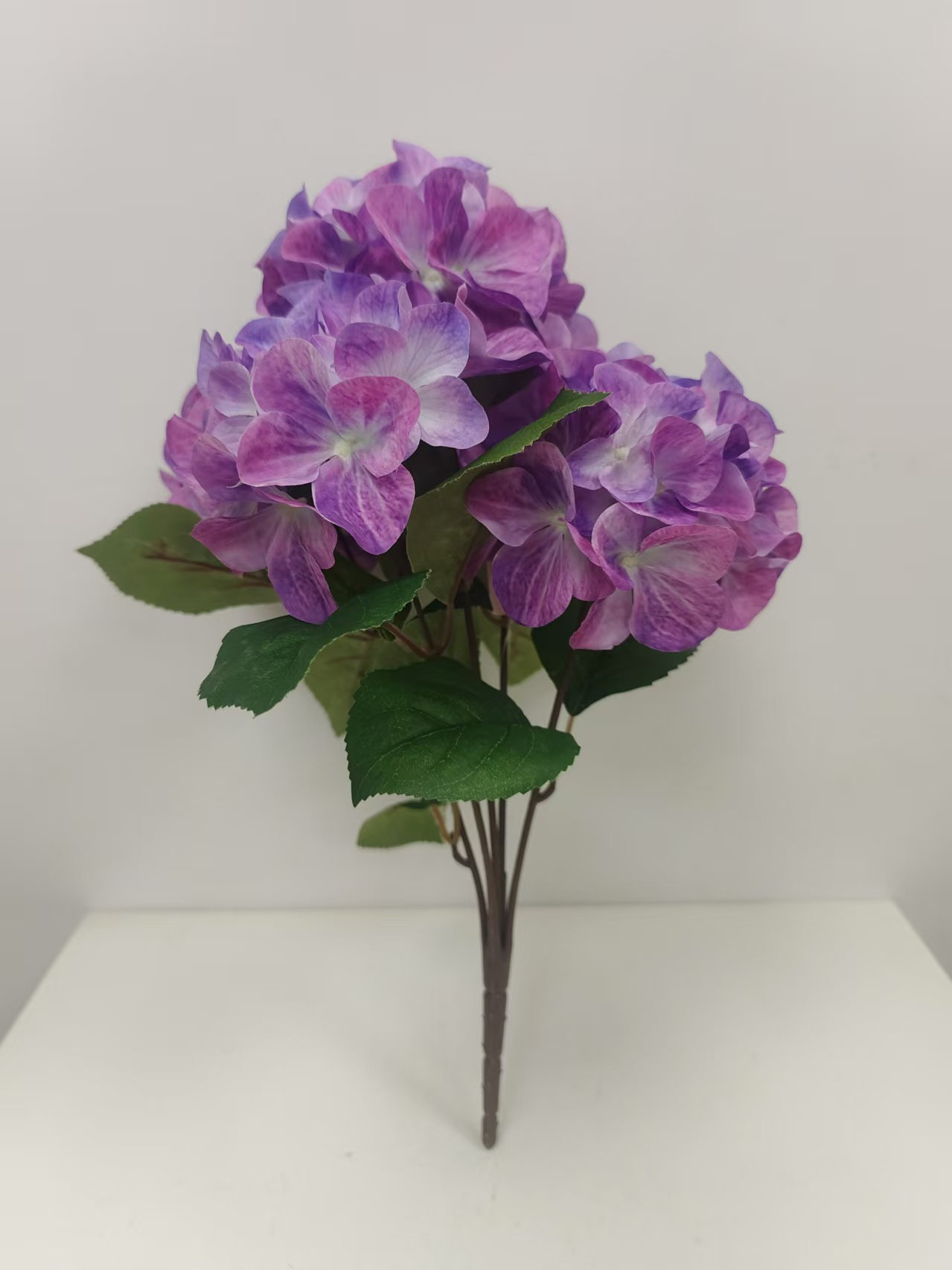 5头经典绣球花1 - 图片 9