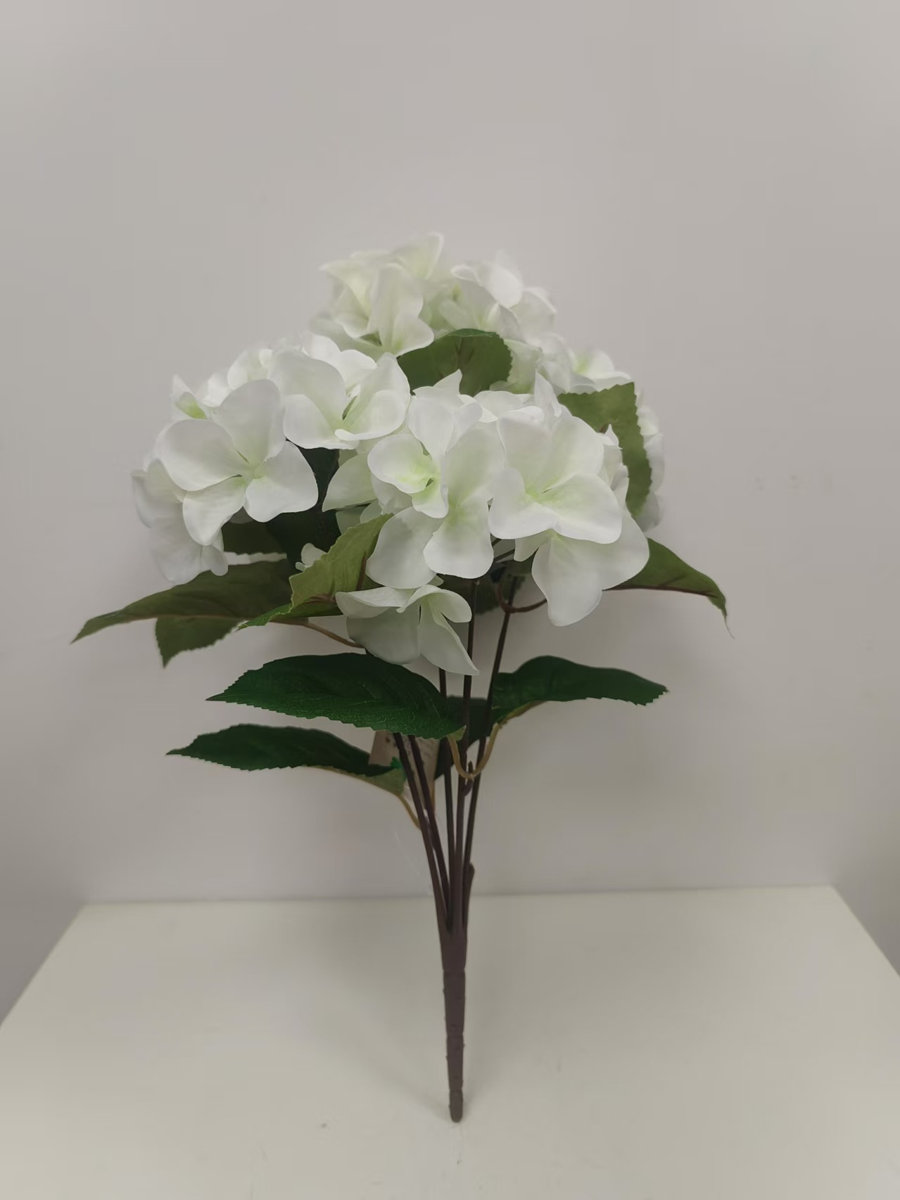 5头经典绣球花1 - 图片 10