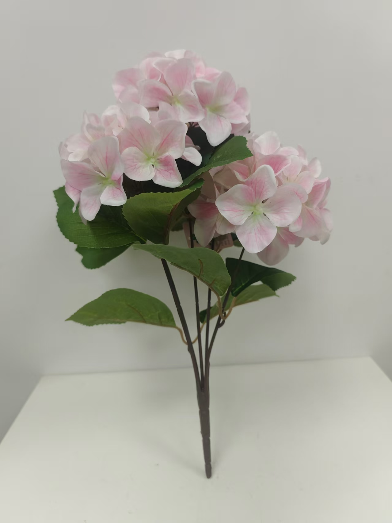 5头经典绣球花1 - 图片 5